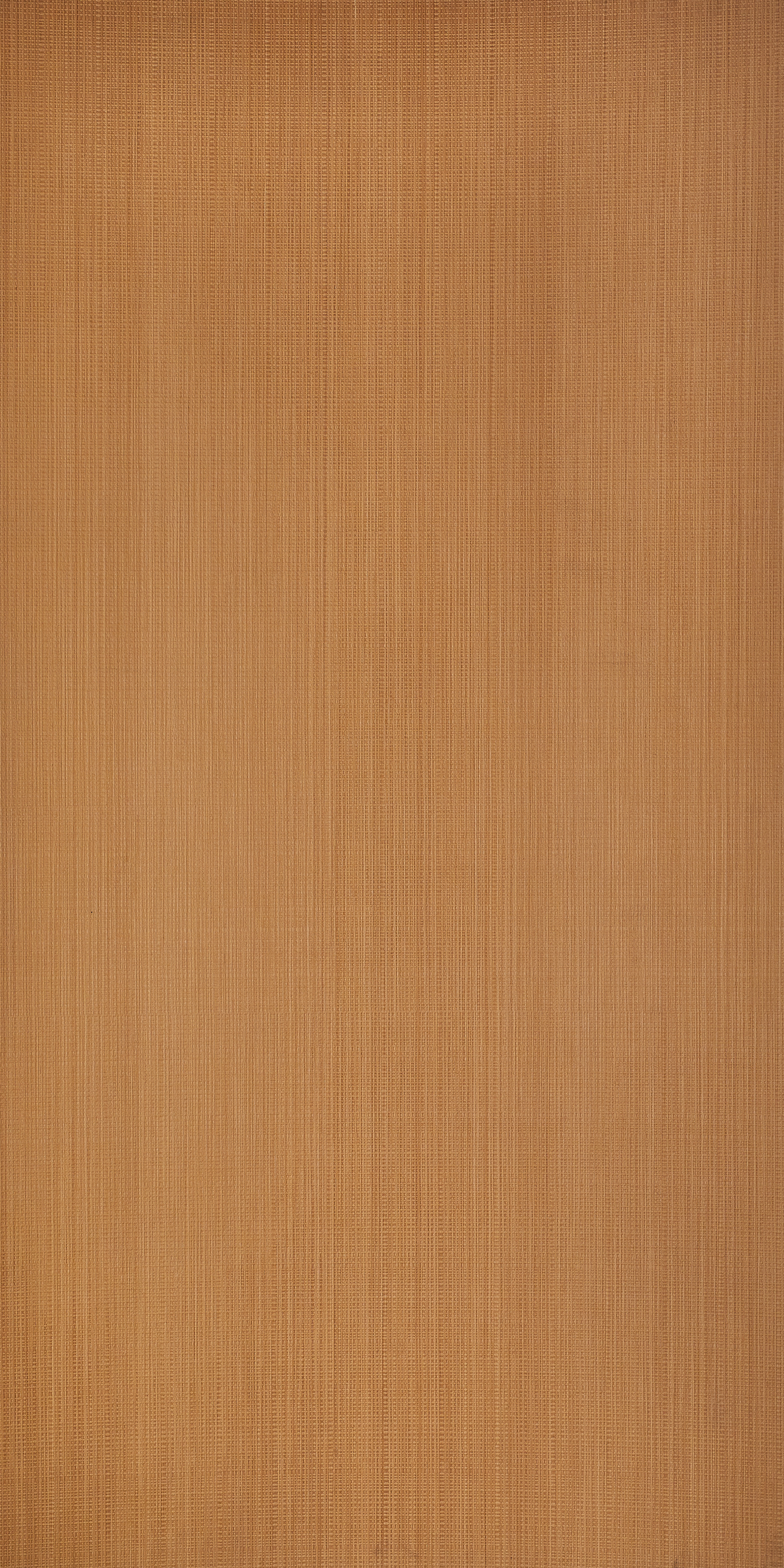 Jute 137_