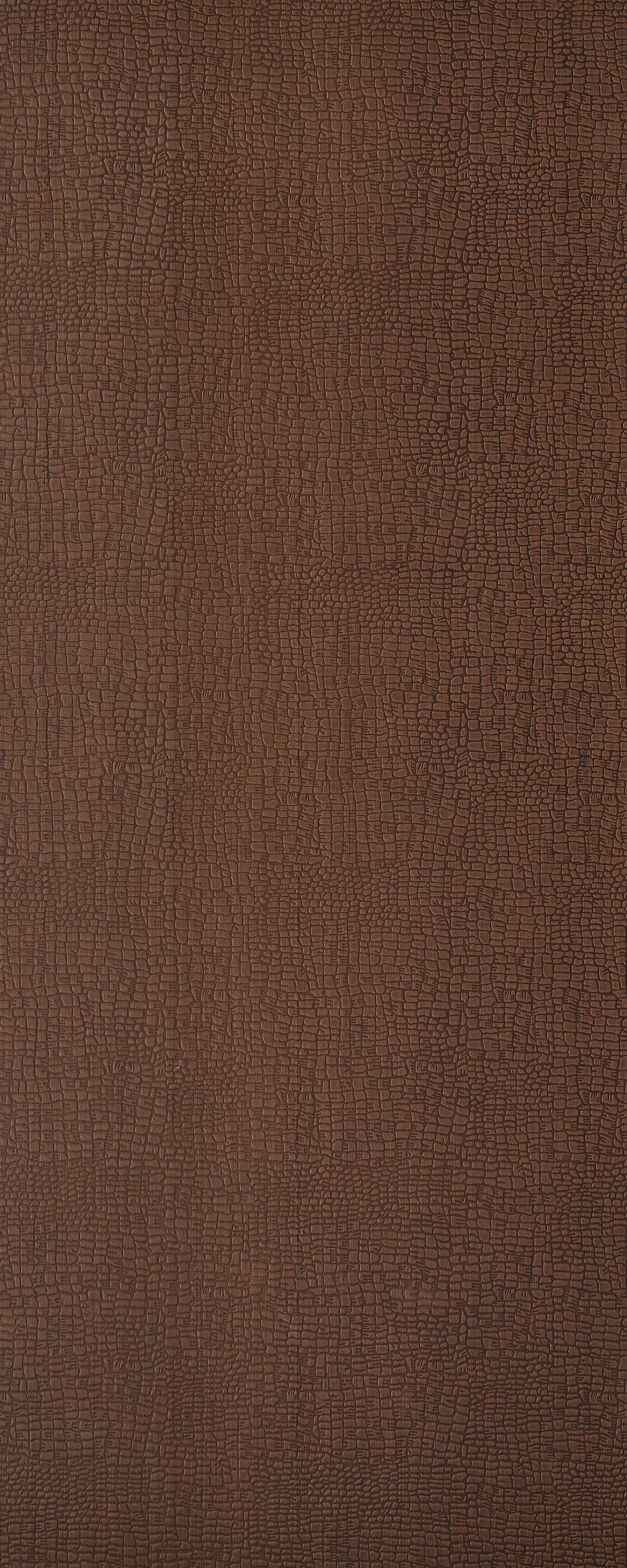 Leather 133_