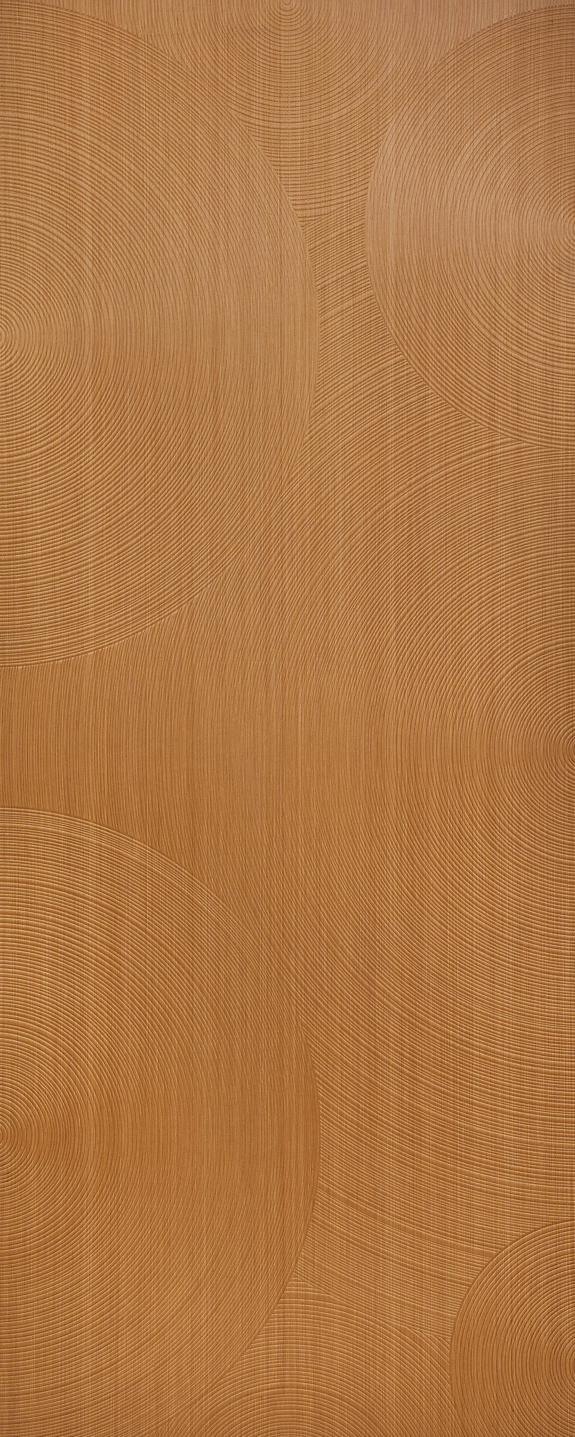 Concentric L_R 137_