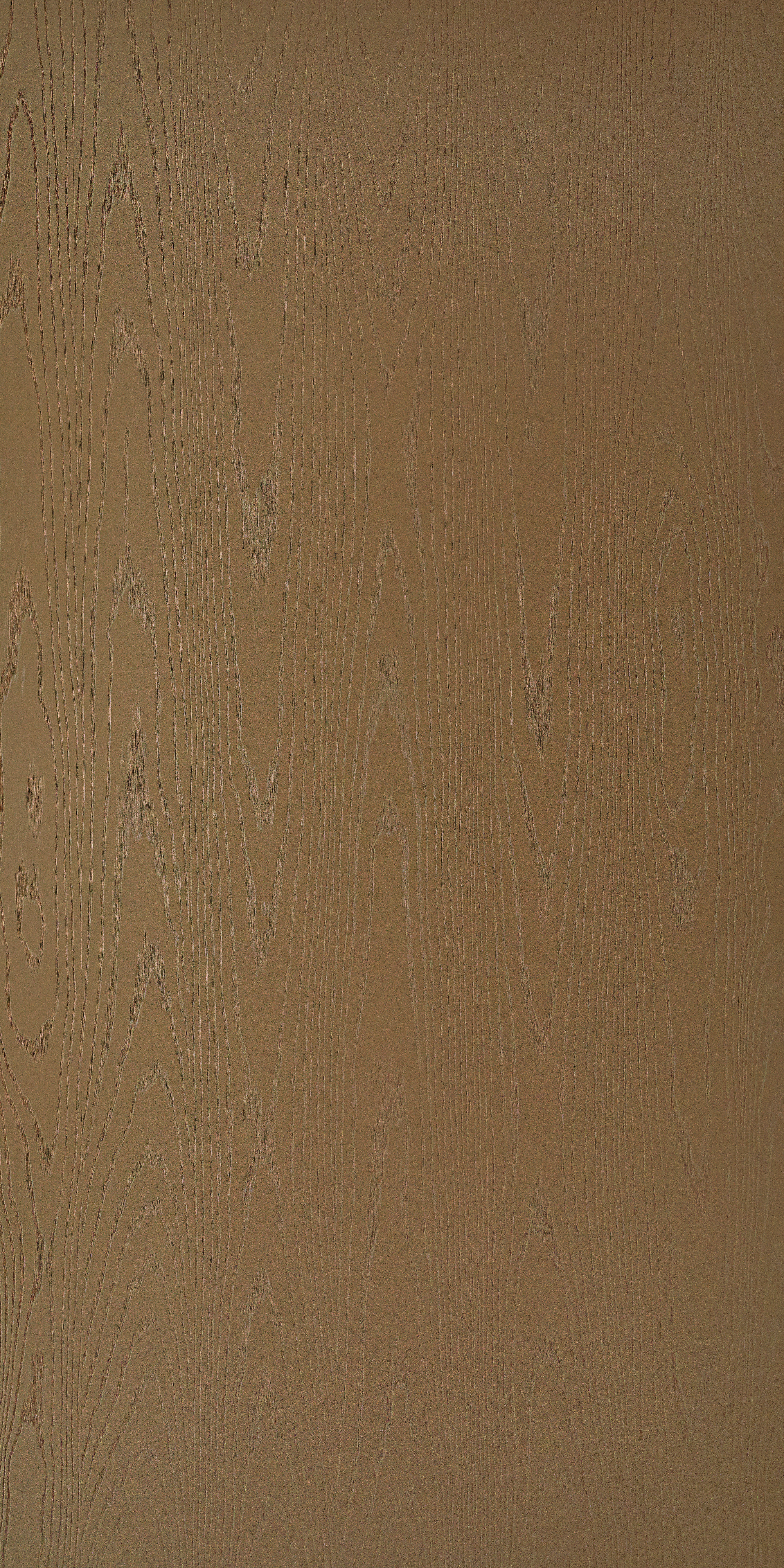 Light Taupe 07