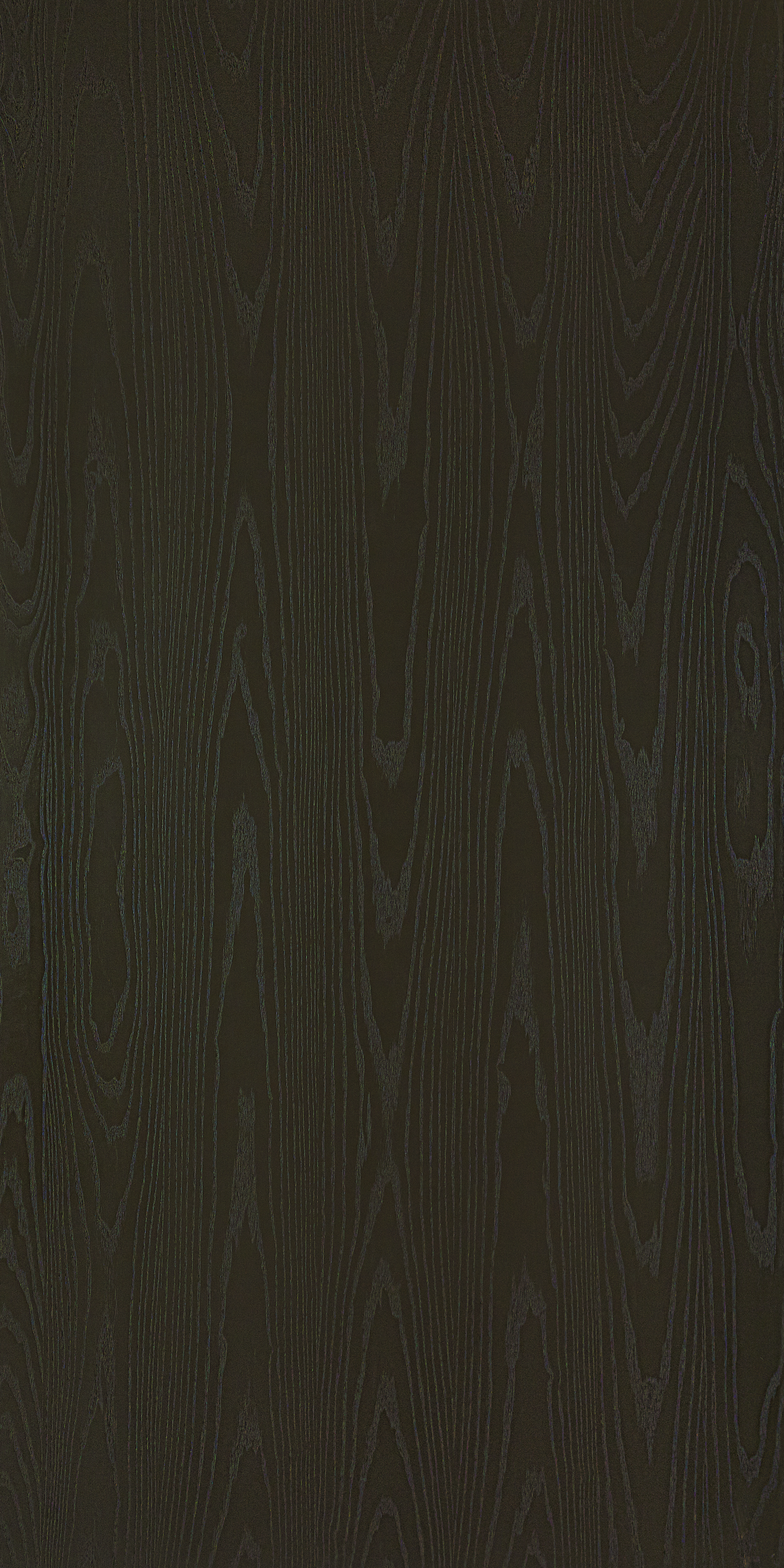 Olive Yellow 49
