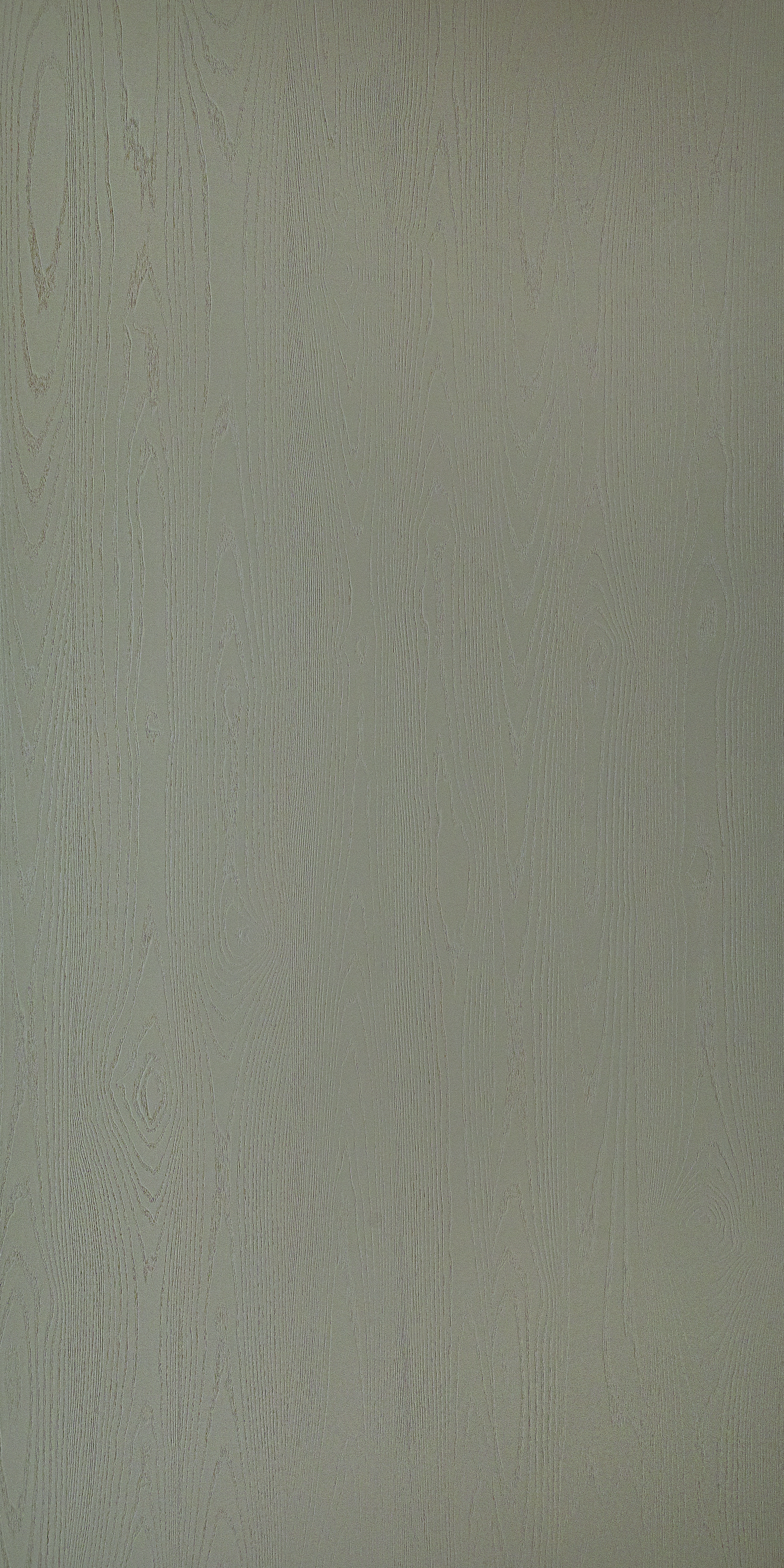 Warm Grey_Greige 51